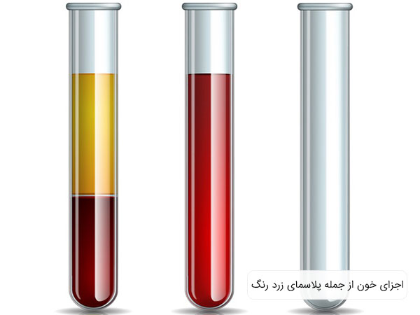 تصویری از اجزای محتلف خون از جمله گلوبولهای قرمز و پلاسما در یک لوله شیشه ای آزمایشگاهی. زمینه تصویر سفید بوده و خون اصلی در کنار خون تجزیه شده نمایان است 